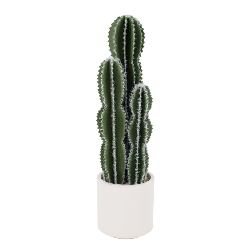 84cm Plant