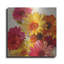 «Daisies For Spring» par Emma Styles-431803022
