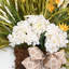 Ornement de 24 po avec guirlande de fleurs en guirlande de fleurs avec panier en osier tissé et nœud décoratif-786477695