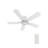 48"  5 - Blade LED Smart Flush Mount Ceiling Fan with Remote Control and Light Kit Included.-1466076140