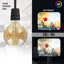 Sickler 4W LED Globe Light Bulb Amber