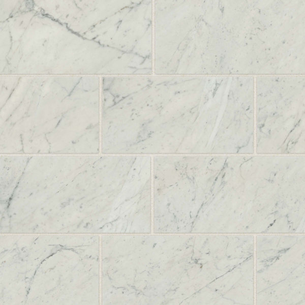 12" x 24" Porcelain Field Tile in Bianco Carrara