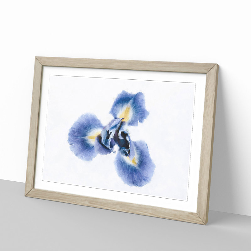An Iris Flower In Blue - Picture Frame Painting Print, 33cm H x 45cm W x 2cm D, Oak