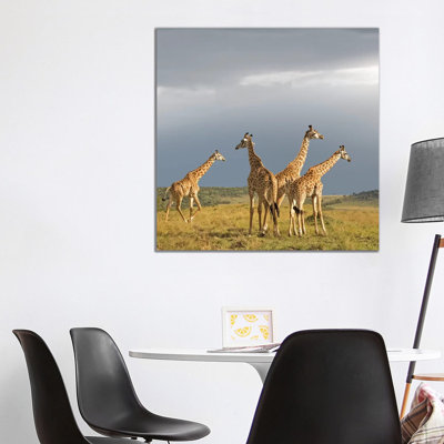 Colour Giraffe Herd II by Klaus Tiedge - Wrapped Canvas Print