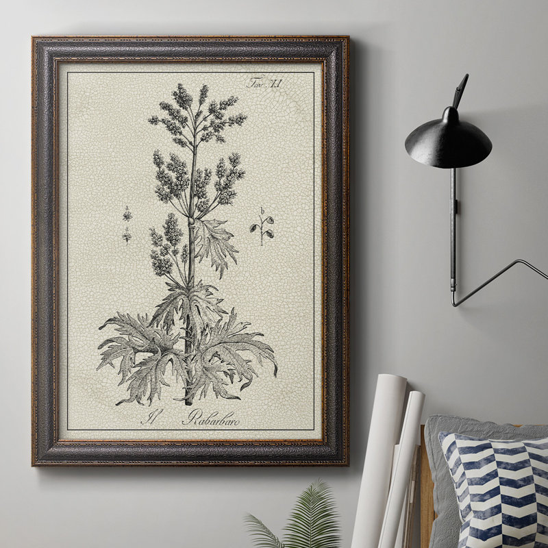Toile encadrée de qualité supérieure antique noir et blanc botanique III - prête à être accrochée