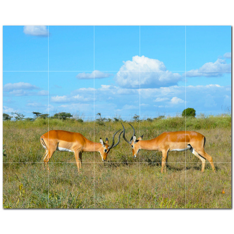 Deer Photo 8'' x 8'' Satin Ceramic Decorative Mural