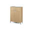 Straimont Particle Board Rectangle Accent Chest