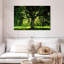 Arbre Harnek-107677807