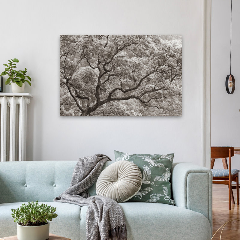 Photographie neutre contemporaine Koi No Ki, H 36 po x l 24 po