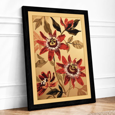 Passion Flowers Study Botanical - Framed Print