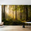 Adhésif mural amovible auto-adhésif et amovible