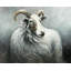 Napperon Cashmere