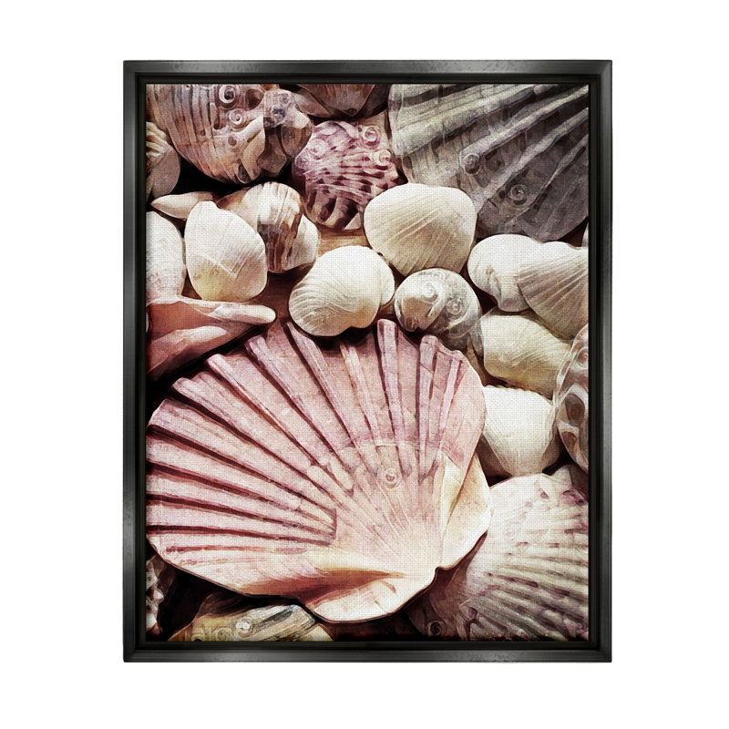 "Stacked Coastal Seashells", art mural sur toile par Ashley Aldridge, Cadre flottant noir de jais