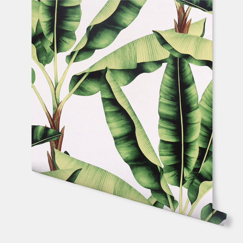 Papier peint Musa