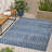 Vidula Rug