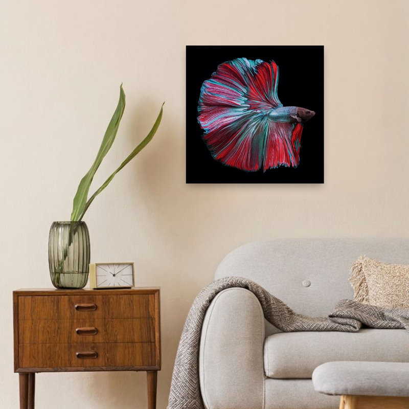 Vibrant Betta Fish Colorful Dramatic Elegant Fish Nature Tropical Wall Art Print by Andi Halil - Print, 60.96cm H x 60.96cm W