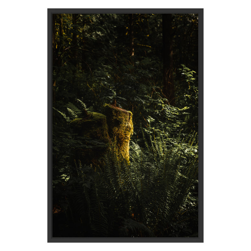 Mossy Ledge Print by Bumsted, Kelsey