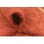 Tapis rouge Neff
