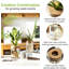 Postes de propagation de plantes en verre pour plantes - Ensemble de 8 (4 grands et 4 petits) vases hydroponiques