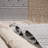5x7 White And Gray Area Rug, Traditional For Indoor/outdoor, Stain , Non-shedding, & Pet Safe, Easy To Clean, Rug White/gray, Look Home Office Spaces, Stain-, Pet-, Maintenance,-664776925