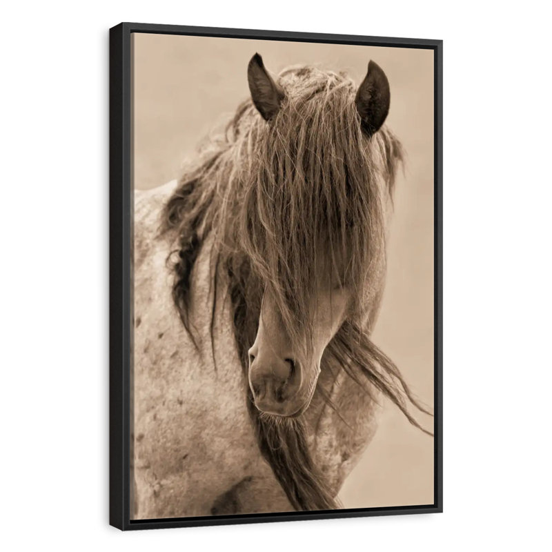 Cheval de la liberté, Cadre flottant noir, 17 po x 25 po