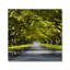The Path Home Print-45586249-45586250