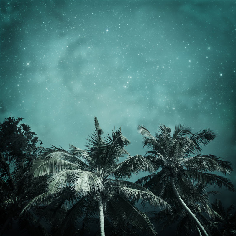 Tropical Background - Wrapped Canvas Print, 30cm H x 30cm W x 3.8cm D