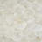 2 Piece Cream Shell Handmade Overlapping Shells Geometric Shadow Box with Canvas Backing Set