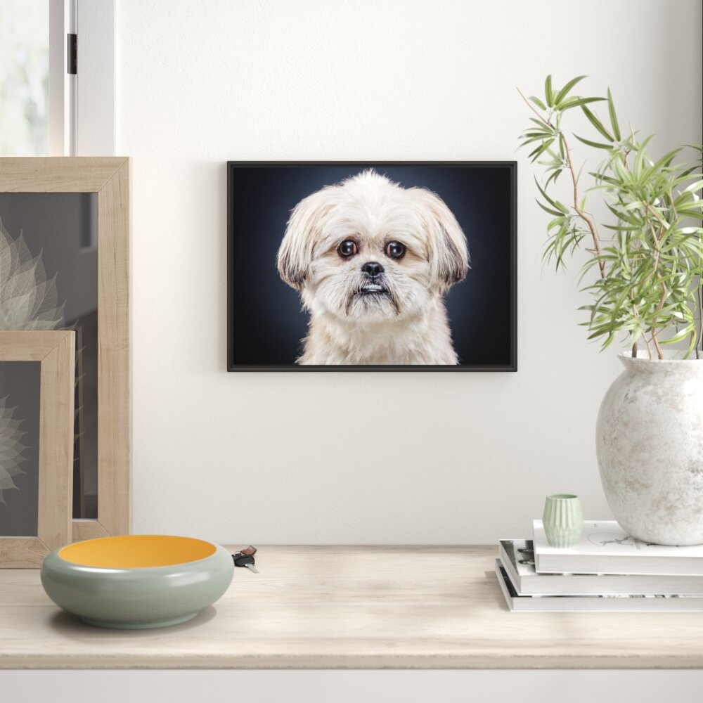 Gerahmtes Wandbild lustiger kleiner Hund