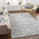 Oriental Indoor Rug