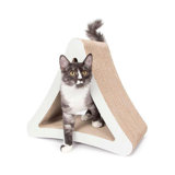 Einstein Scratching Post