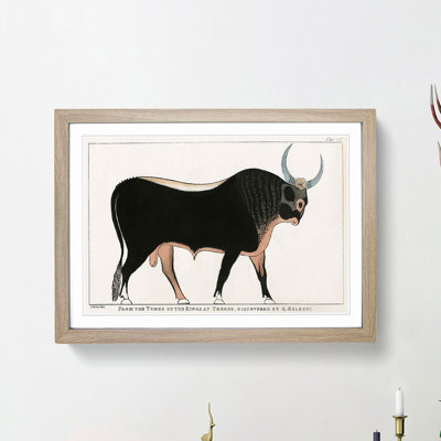 The Apis Bull by G.B. Belzoni - Picture Frame Graphic Art Print
