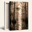 «Misty Cypress Trees in Golden Bayou», art mural sur toile-1222076500