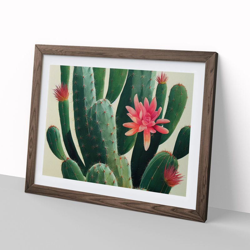 Splendorous Cactus - Framed Print, 46cm H x 64cm W x 2cm D, Walnut