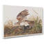 Winter Hawk by John Audubon - Wrapped Canvas-55301813