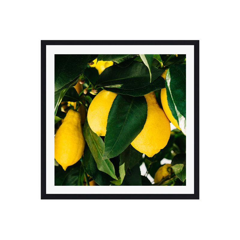 Citrons de la côte d'Amalfi, H 12 po x l 12 po x P 0,75 po, Cadre simple noir, Oui
