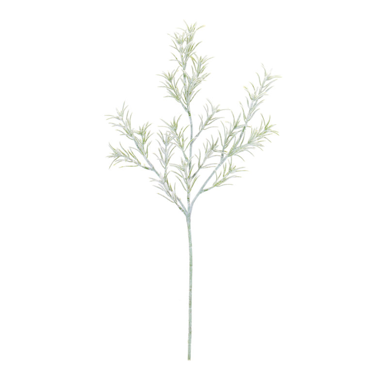 Rosemary Foliage (ensemble de 6)