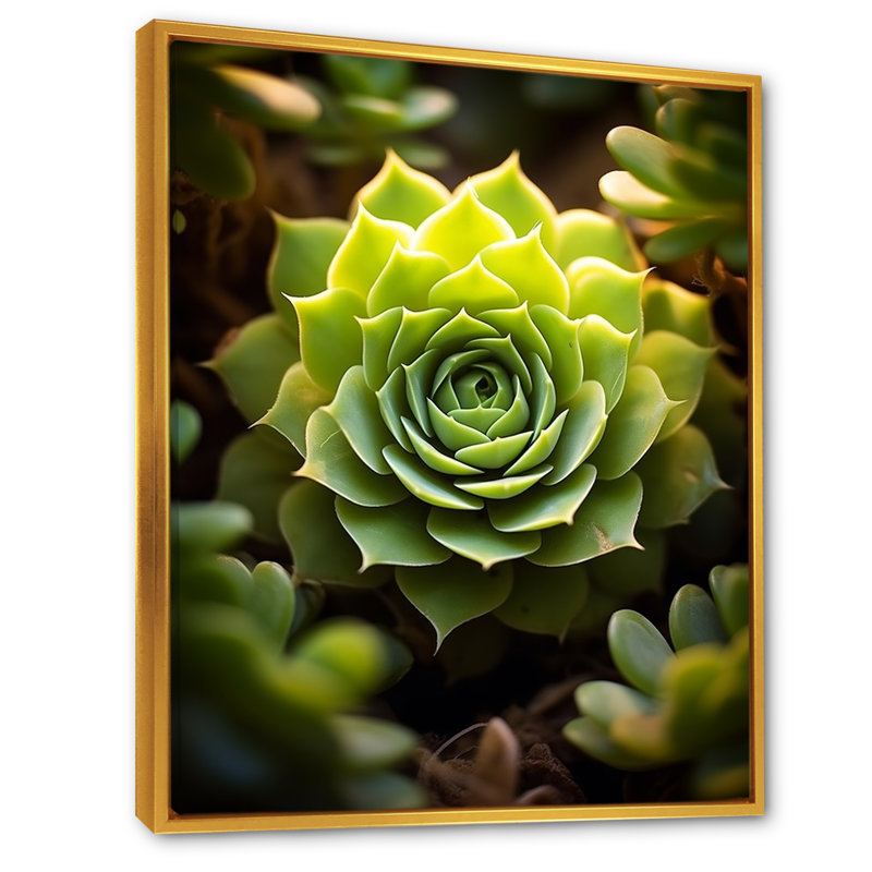 " Green Succulent Bloom ", 32" H x 24" W, Gold Floater Framed