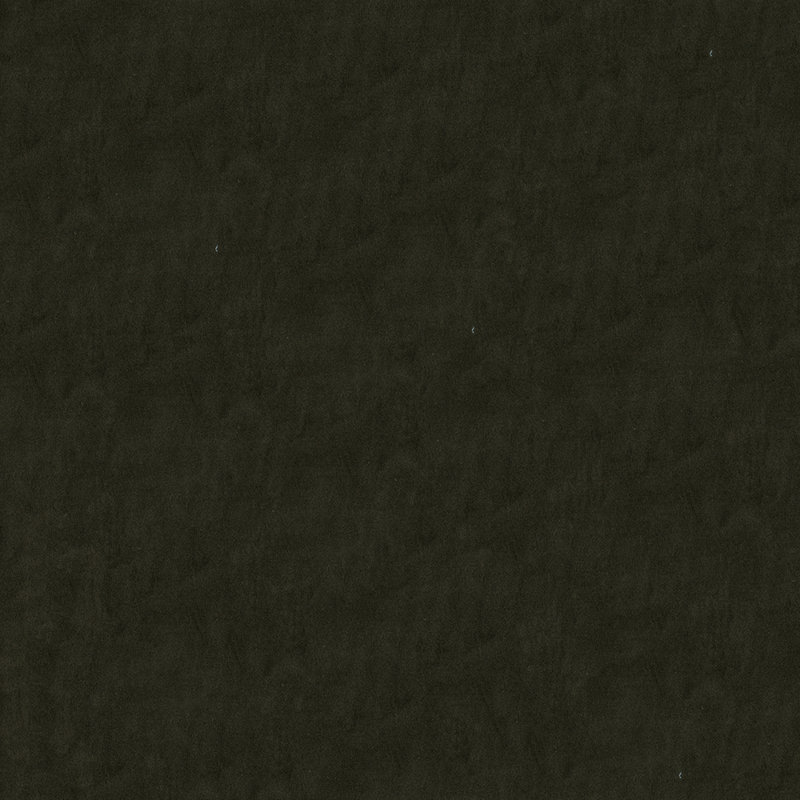 Tissu Benjamin, Vison