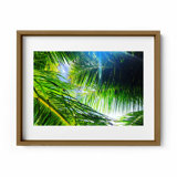 Light Breeze Print by Joseph Regan