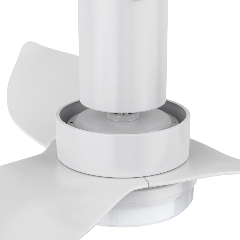 Ventilateur de plafond intelligent avec télécommande Ryna, ensemble d'éclairage inclus, fonctionne avec l'assistant Google et Amazon Alexa, raccourci Siri.