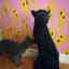 Photos des clients 1 de 1