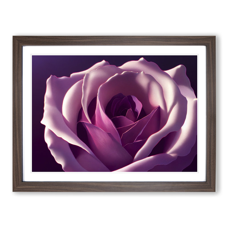 Dazzling Rose Flower - Single Picture Frame Print, 46cm H x 64cm W x 2cm D, Walnut