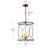 Teronica 4 - Light Matte Black Caged Pendant