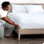 Ensemble de drap-housse en microfibre avec taie d'oreiller   -281352393-281352372