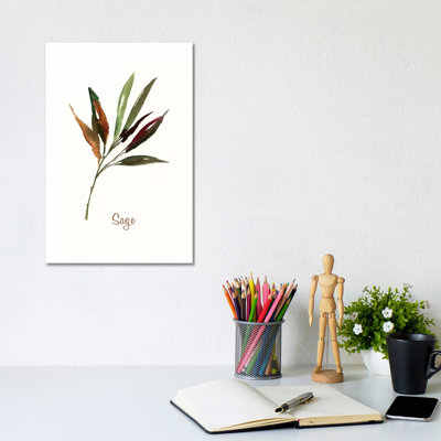 Wild Sage by Asia Jensen - Wrapped Canvas Painting
