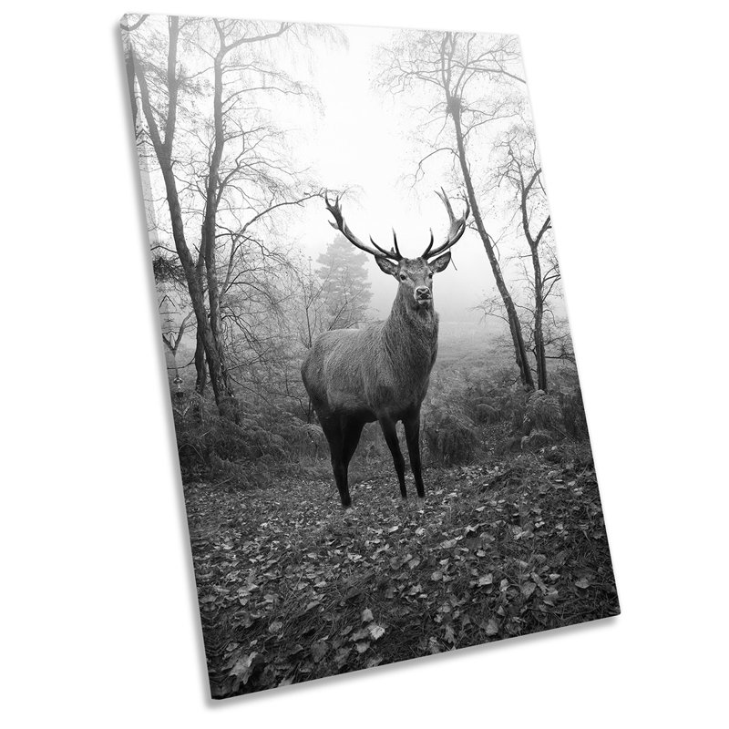 Stag Deer Highlands B&W Picture - Wrapped Canvas Print, 45.7cm H x 30.5cm W x 2cm D