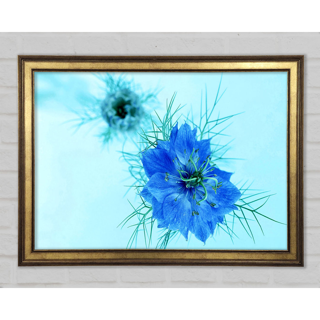 Blau auf blauer Blume - Druck