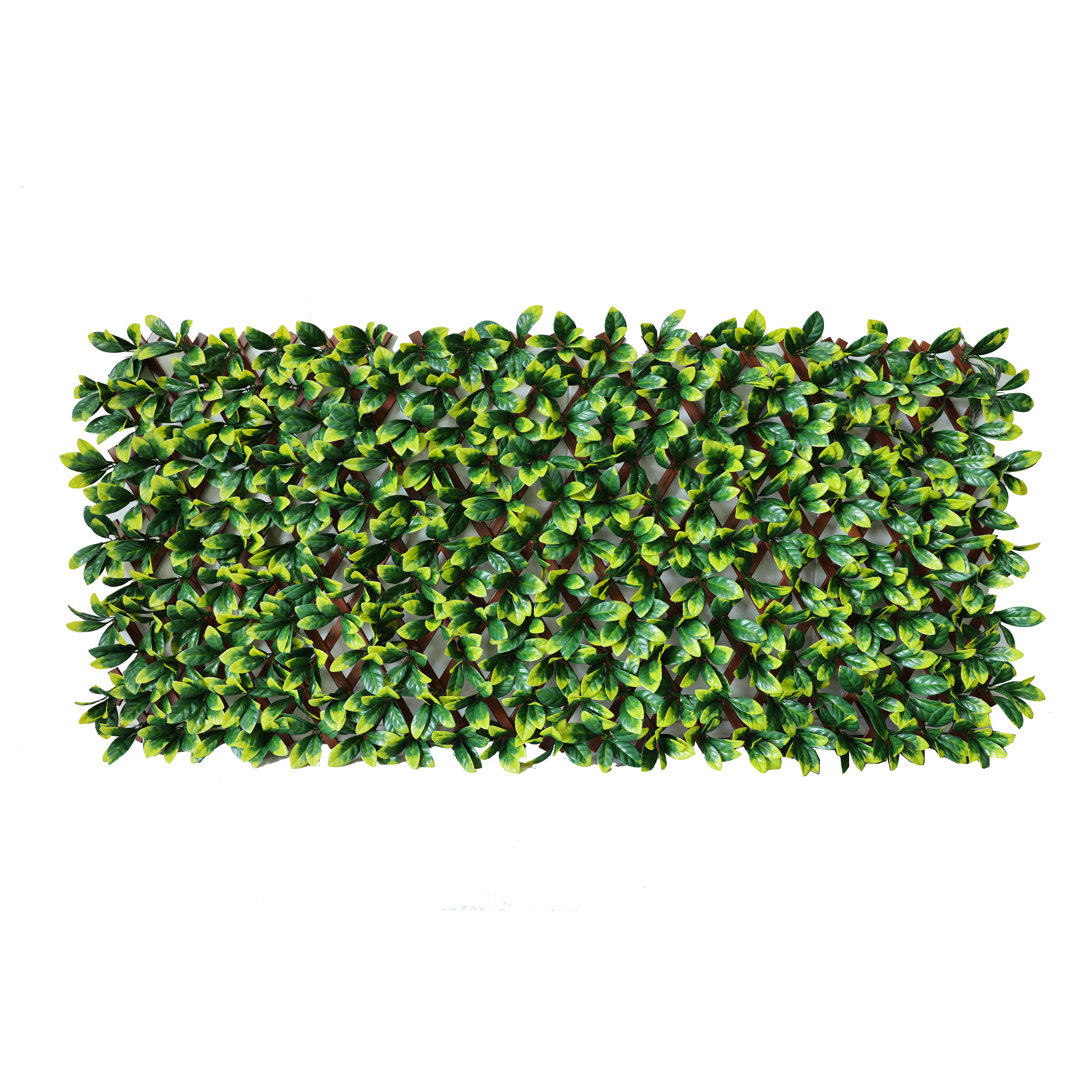 Annalicia 180Cm H x 60Cm W Plastic Expanding Trellis
