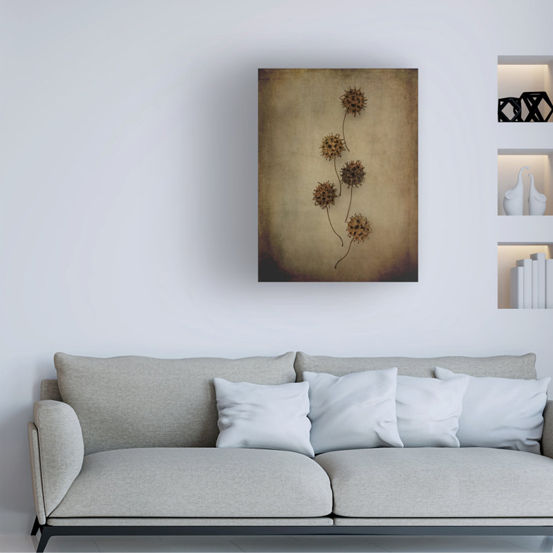 Art sur toile Pod Lori, H 18 po x l 24 po